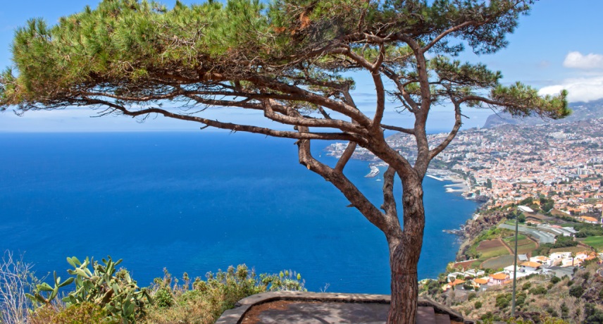 Is Funchal Worth visiting- Neves viewpoint